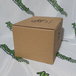 3L Fuel Tank