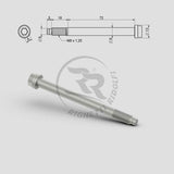 King Pin Bolt M8 - L72mm+18mm